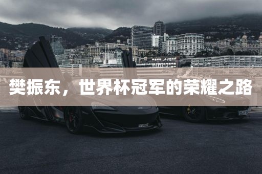 樊振东，世界杯冠军的荣耀之路