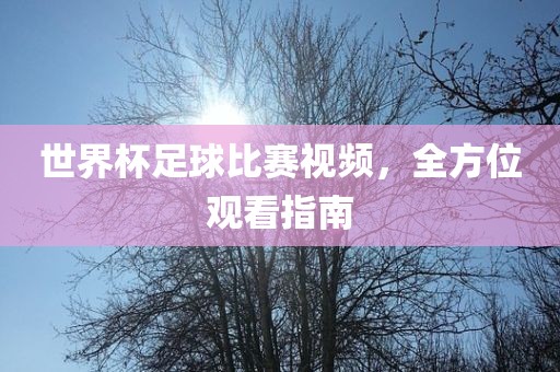 世界杯足球比赛视频，全方位观看指南