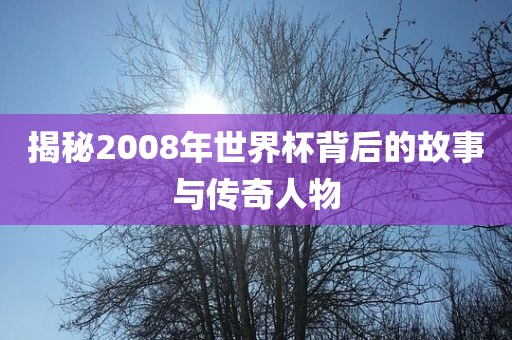 揭秘2008年世界杯背后的故事与传奇人物眉山市正发家政服务有限公司