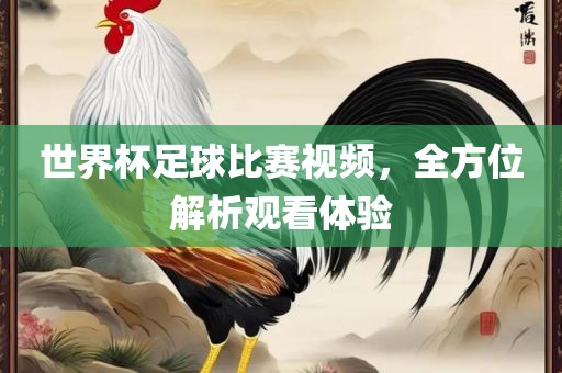 世界杯足球比赛视频，全方位解析观看体验