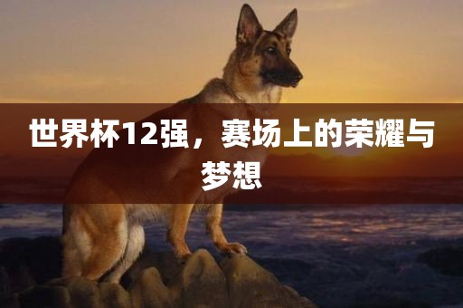 世界杯1眉山市正发家政服务有限公司2强，赛场上的荣耀与梦想