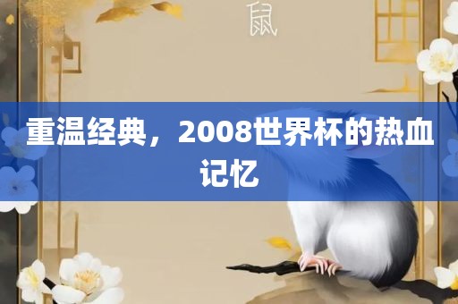 重温经典，2008世界杯的热血记忆