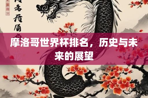 摩洛哥世界杯排名，历史与未来的展望