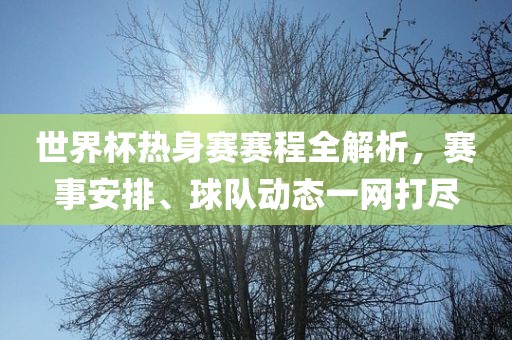 世界杯热身赛赛程全解析，赛事安排、球队动态一网打尽