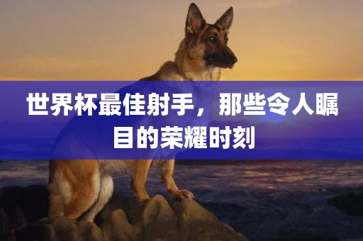 世界杯最佳射手，那些令人瞩目的荣耀时刻