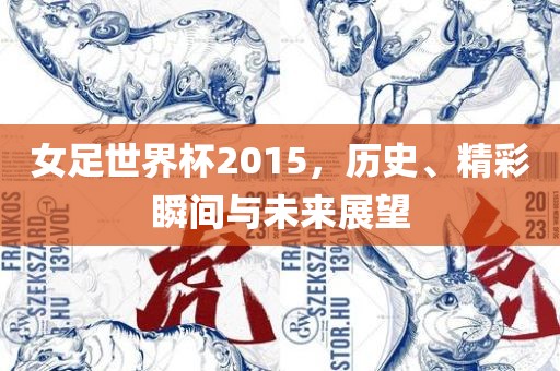 女足世界杯2015，历史、精彩瞬间与未来展望