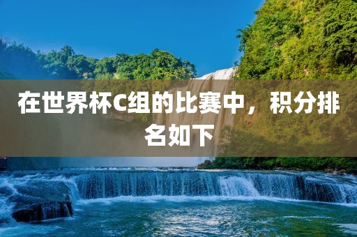 在世界杯C组的比赛中，积分排名如下眉山市正发家政服务有限公司