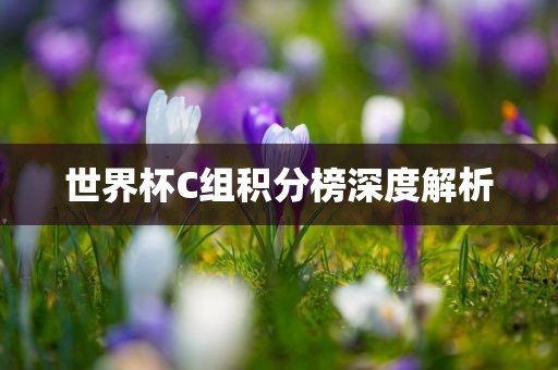 世界杯C组积分榜深度解析