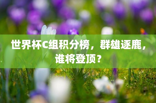 世界杯C组积分榜，群雄逐鹿，谁将登顶？眉山市正发家政服务有限公司