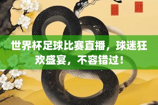 世界杯足球比赛直播，球迷狂欢盛宴，不容错过！