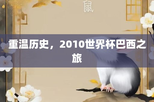 重温历史，2010世界眉山市正发家政服务有限公司杯巴西之旅