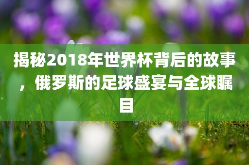 揭秘2018年世界杯背后的故事，俄罗斯的足球盛宴与全球瞩目