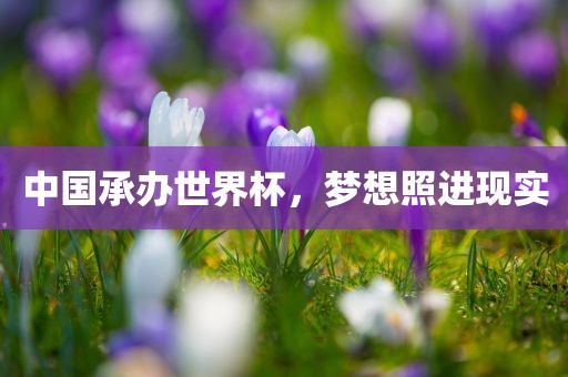 中国承办世界杯，梦想照进现实