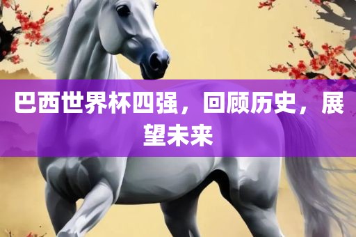 巴西世眉山市正发家政服务有限公司界杯四强，回顾历史，展望未来