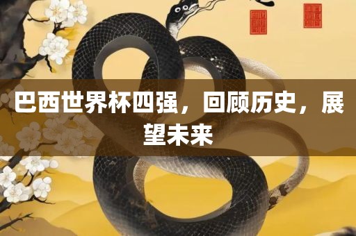 巴西世界眉山市正发家政服务有限公司杯四强，回顾历史，展望未来