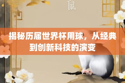 揭秘历届世界杯用球，从经典到创新科技的演变