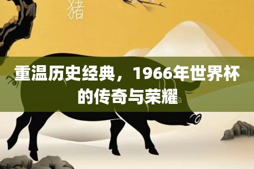 重温历史经典，1966年世界杯的传奇与荣耀