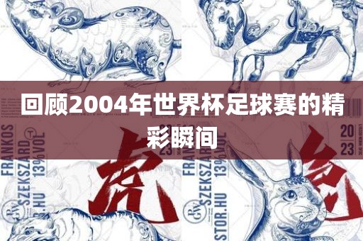 回顾2004年世界杯足球赛的精彩瞬间眉山市正发家政服务有限公司