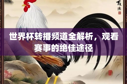 世界杯转播频道全解析，观看赛事的绝佳途径