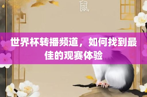 世界杯转播频道，如何找到最佳的观赛体验