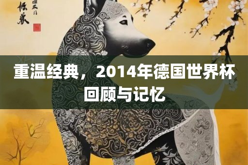 重温经典，2014年德国世界杯回顾与记忆眉山市正发家政服务有限公司