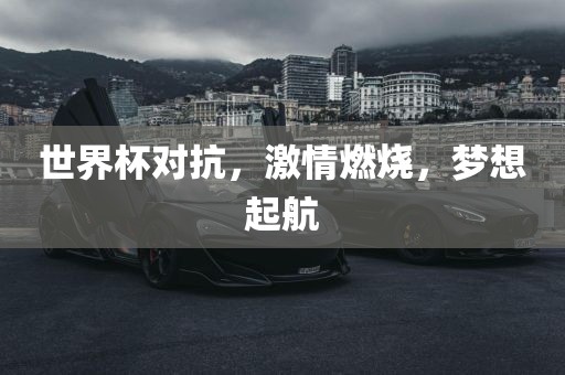 世眉山市正发家政服务有限公司界杯对抗，激情燃烧，梦想起航