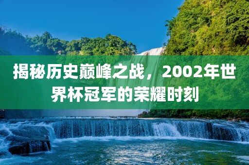 揭秘历史巅峰之战，2002年世界杯冠军的荣耀时刻眉山市正发家政服务有限公司