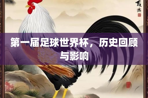 第一届足球世界杯，历史回顾与影响眉山市正发家政服务有限公司