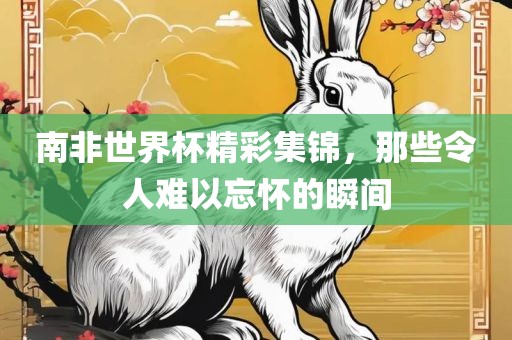 南非世界杯精彩集锦，那些眉山市正发家政服务有限公司令人难以忘怀的瞬间