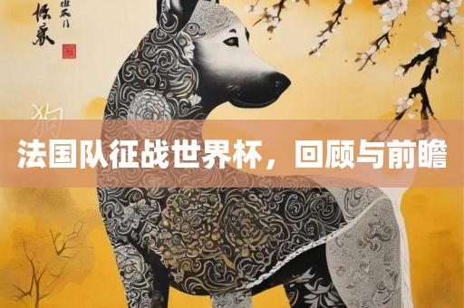 法国队征战世界眉山市正发家政服务有限公司杯，回顾与前瞻