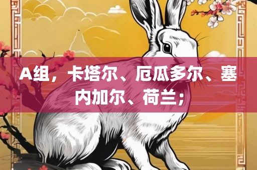 A组，卡塔尔、厄瓜多尔、塞内加尔、荷兰；