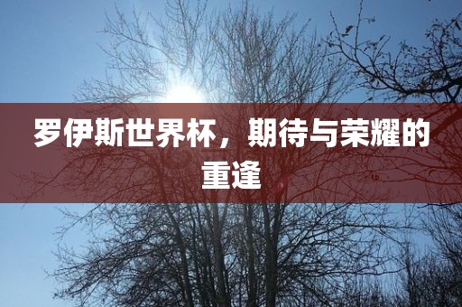 罗伊斯世界杯，期待与荣耀的重逢眉山市正发家政服务有限公司