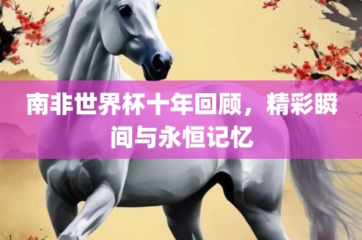 南非世界杯十年眉山市正发家政服务有限公司回顾，精彩瞬间与永恒记忆