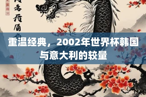 重温经典，2002年世界杯韩国与意大利的较量