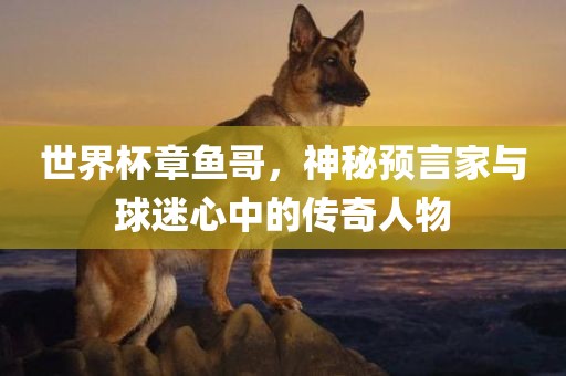 世界杯章鱼哥，神秘预言家与球迷心中的传奇人物眉山市正发家政服务有限公司