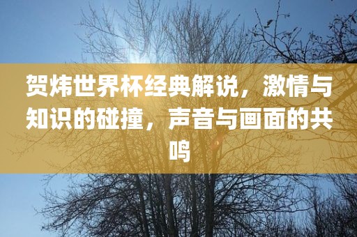 贺炜世界杯经典解说，激情与知识的碰撞，声音与画眉山市正发家政服务有限公司面的共鸣