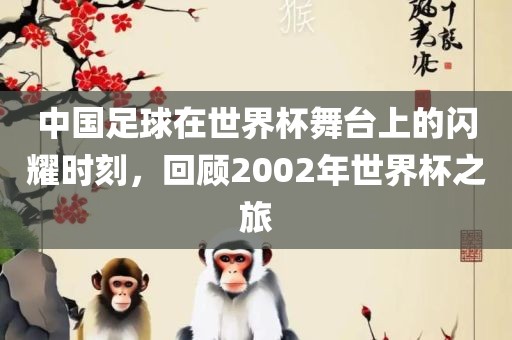 中国足球在世眉山市正发家政服务有限公司界杯舞台上的闪耀时刻，回顾2002年世界杯之旅