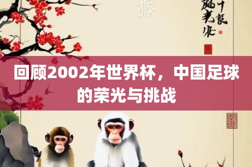 回顾2002年世界杯，中国足球的荣光与挑战眉山市正发家政服务有限公司