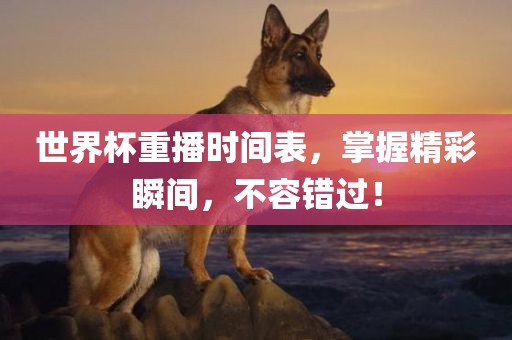 世界杯重播时间表，掌握精彩瞬间，不容错过！