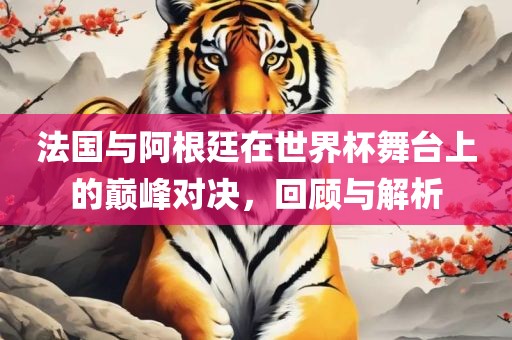 法国与阿根廷在世界杯舞台上的巅峰对决眉山市正发家政服务有限公司，回顾与解析