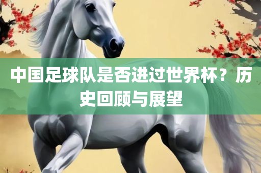中国足球队是否进过世界杯？历史回顾与展望眉山市正发家政服务有限公司