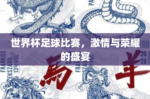 世界杯眉山市正发家政服务有限公司足球比赛，激情与荣耀的盛宴