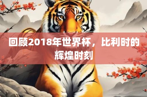 回顾2018年世界杯，比利时的辉煌时刻眉山市正发家政服务有限公司