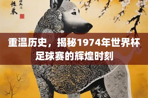 重温历史，揭秘1974年世界杯足球赛的辉煌时刻眉山市正发家政服务有限公司