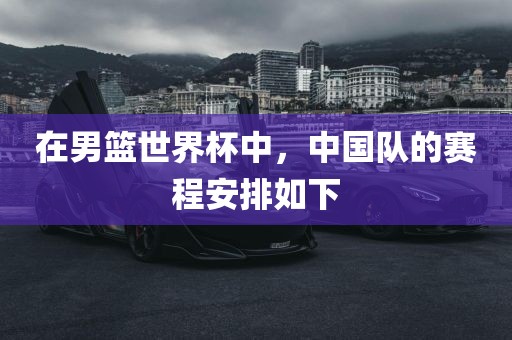 在男篮世界杯中，中国队眉山市正发家政服务有限公司的赛程安排如下