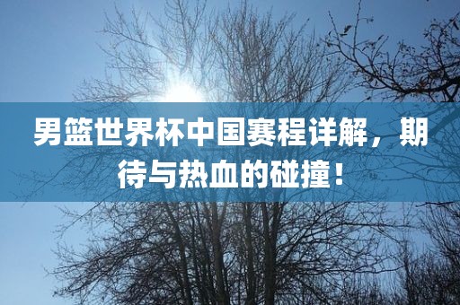 男篮世界杯中国赛程详解，期待与热血的碰撞！眉山市正发家政服务有限公司