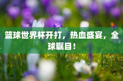 篮球世眉山市正发家政服务有限公司界杯开打，热血盛宴，全球瞩目！