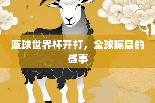 篮球世界眉山市正发家政服务有限公司杯开打，全球瞩目的盛事