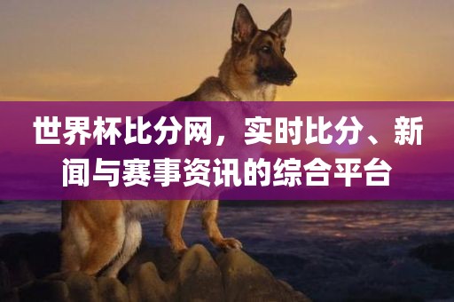 世界杯比分网，实时比分、新闻与赛事资讯的综合平台