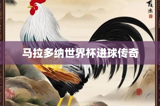 马拉多纳世界杯进球传奇眉山市正发家政服务有限公司